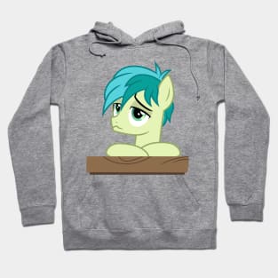 Bored Sandbar Hoodie